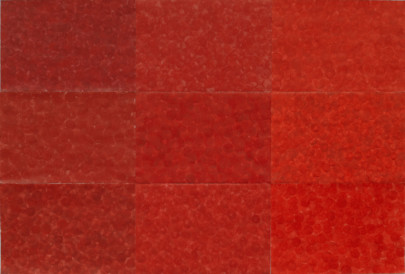 Rote Fahne (Kirgisien)